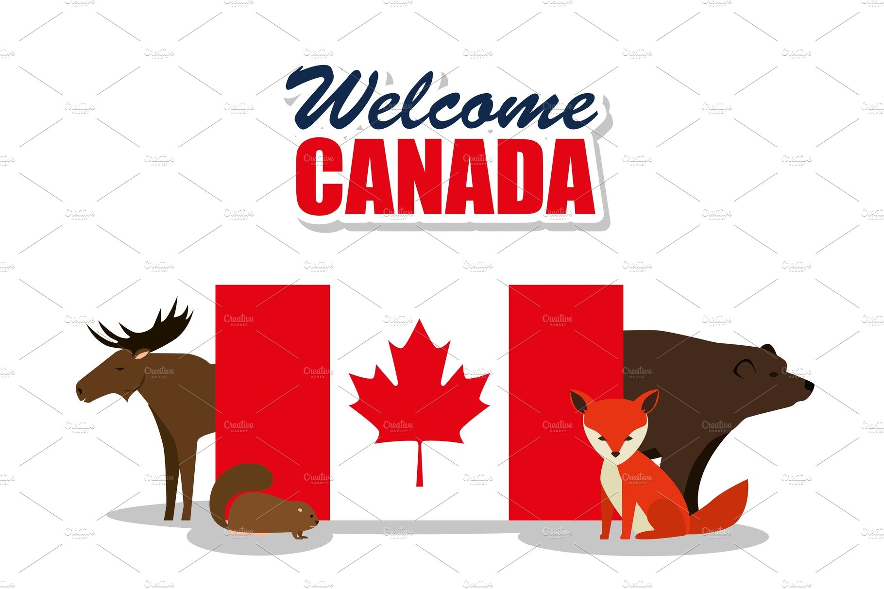 canadian culture group of animals cover image.