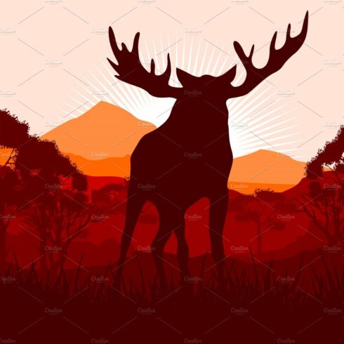 Elk in wild nature landscape cover image.