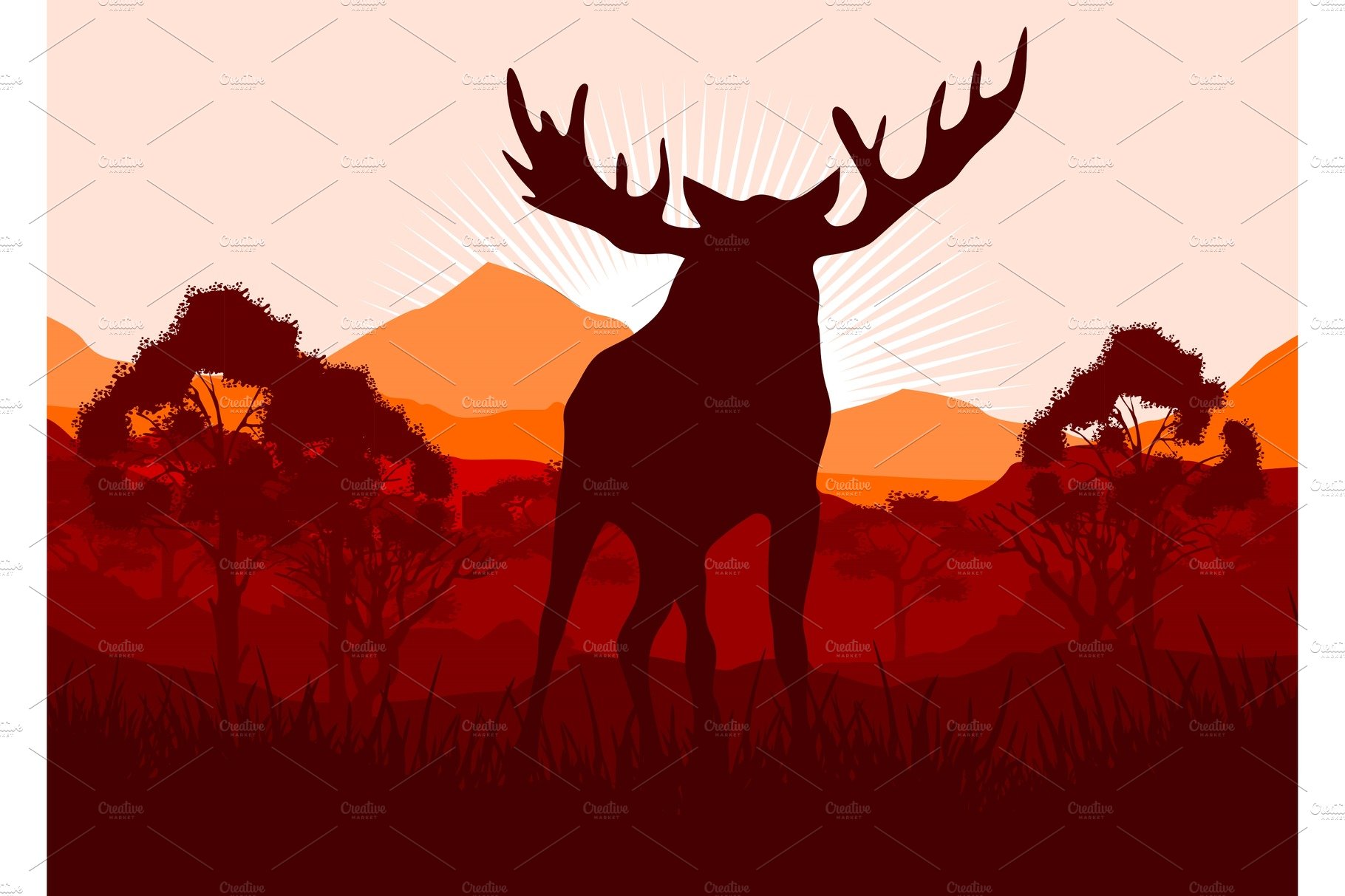 Elk in wild nature landscape cover image.