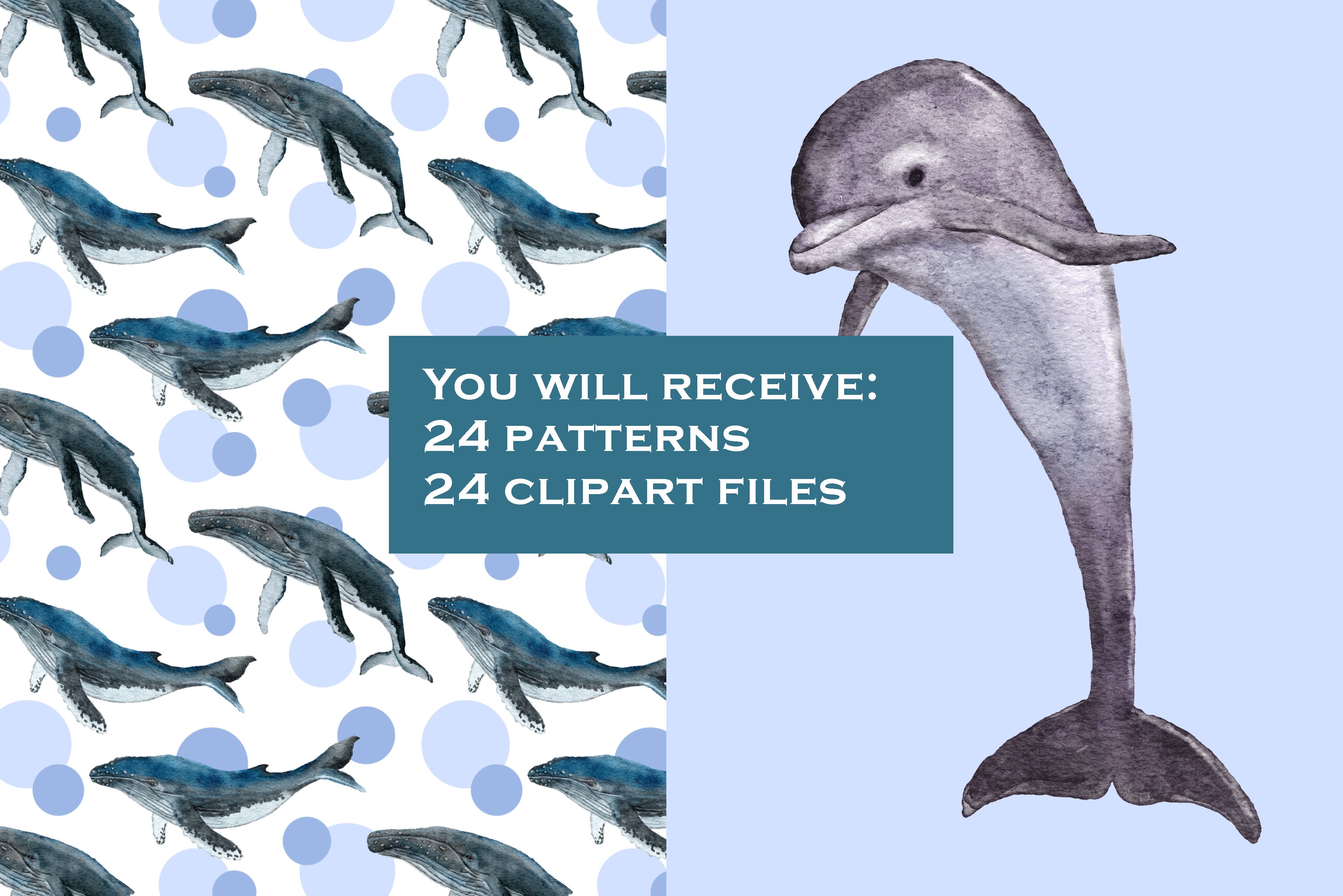 Sea Animals Clipart & Patterns preview image.