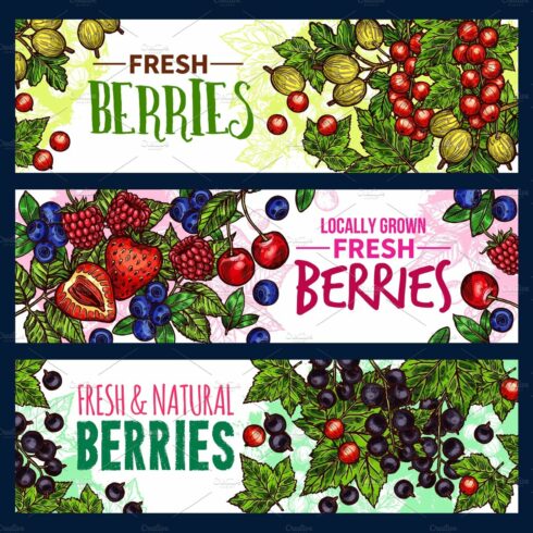 Berry with leaf banner of wild and garden fruit cover image.