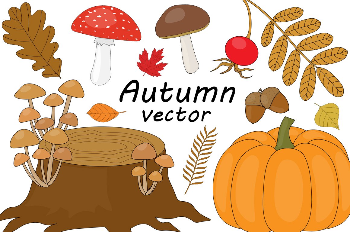 Set Autumn vector illustration cover image.