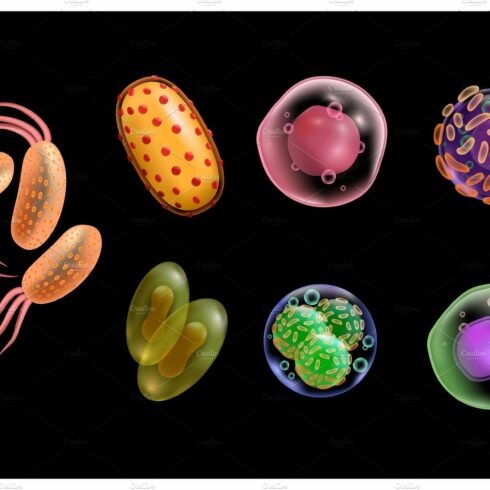 Viruses and bacteria realistic cells cover image.