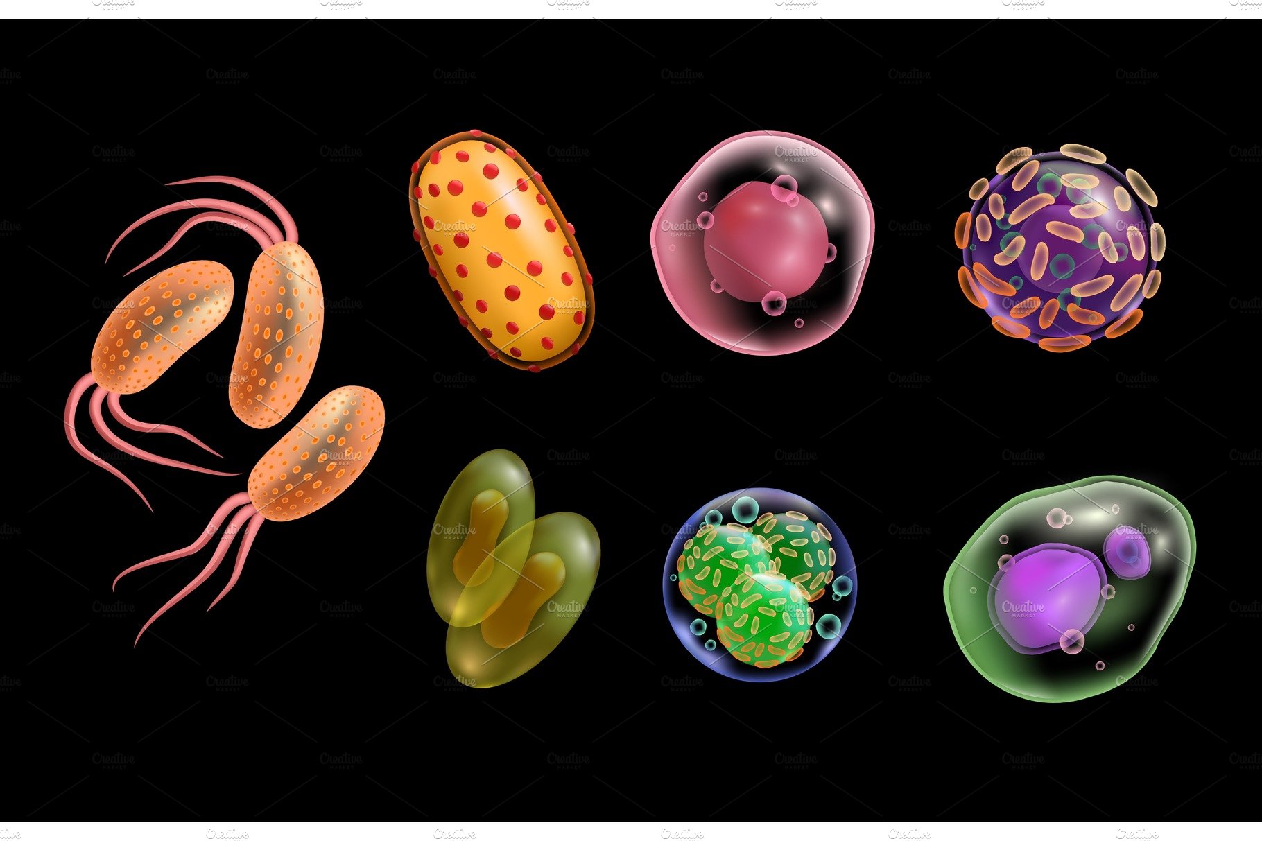 Viruses and bacteria realistic cells cover image.