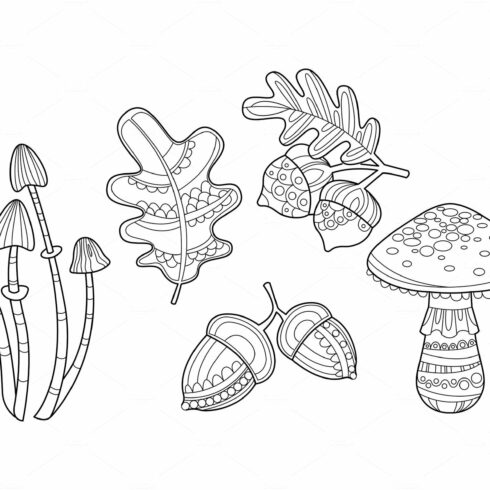 Collection of hand drawn plants cover image.