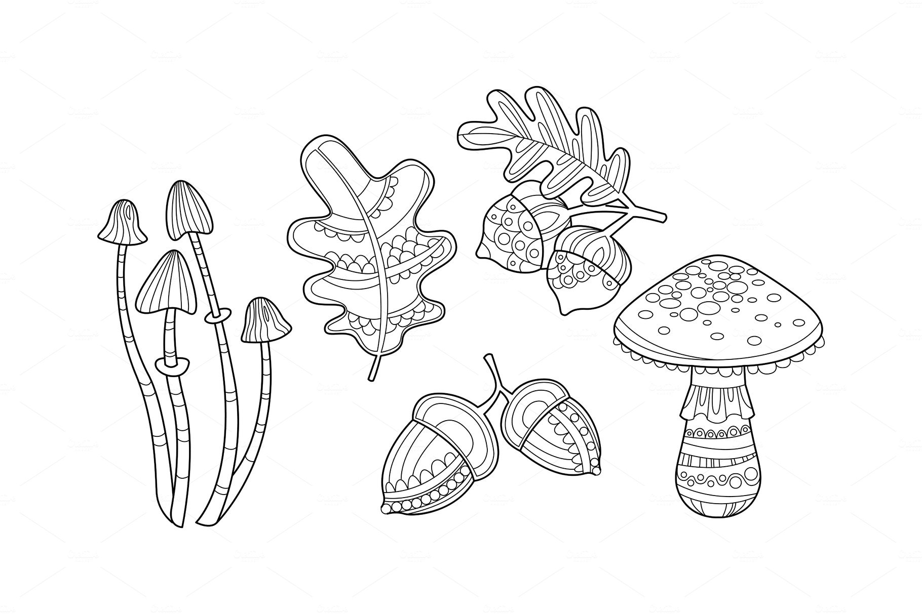 Collection of hand drawn plants cover image.