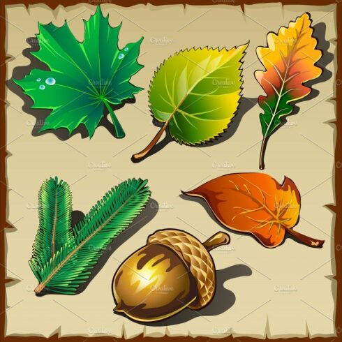 Set of leaves from different trees, six icons cover image.