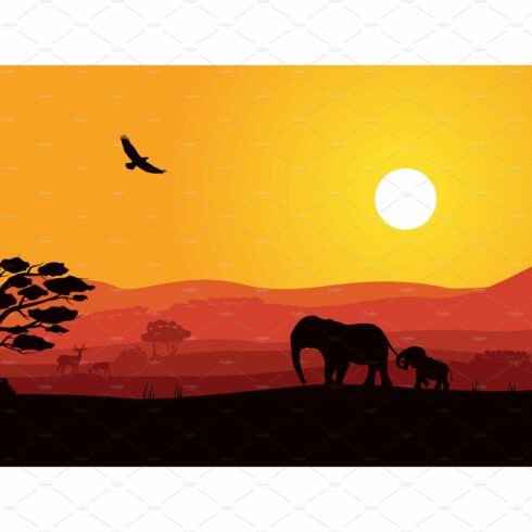 Safari Africa sunset with wild cover image.