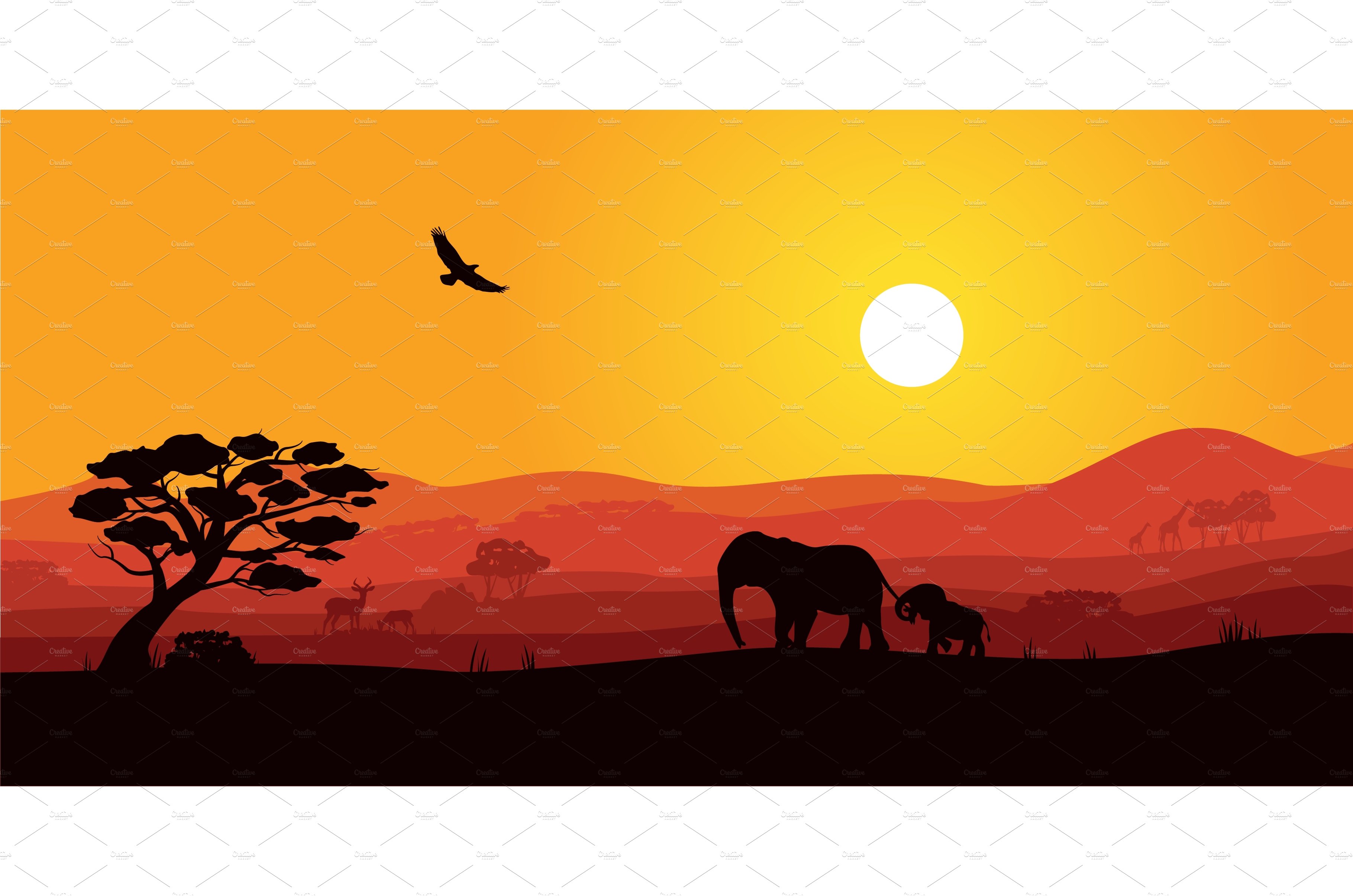 Safari Africa sunset with wild cover image.