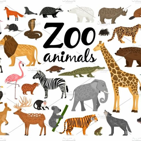Zoo Animals cover image.