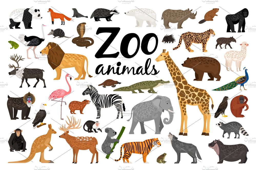 Zoo Animals cover image.