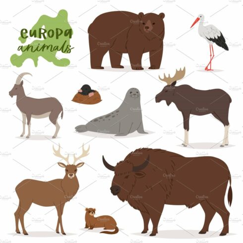 Animal vector animalistic character cover image.
