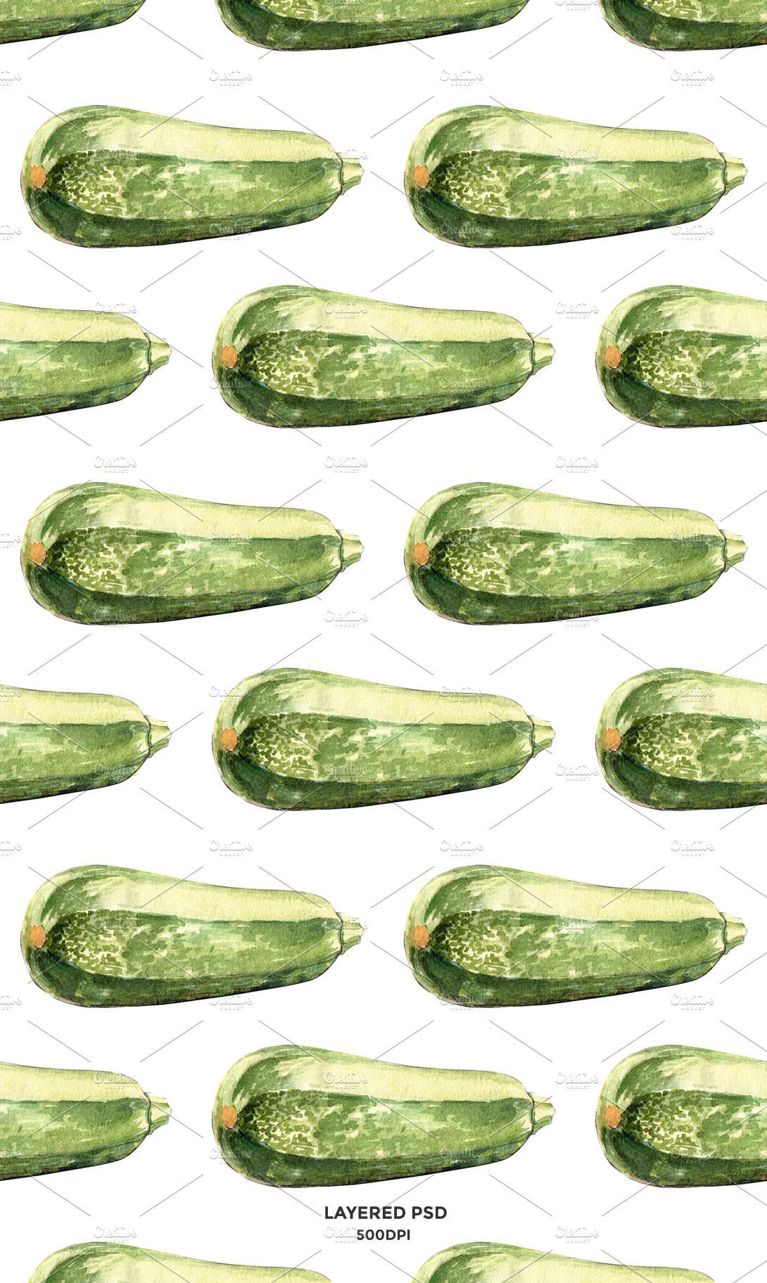 zucchini 3 879