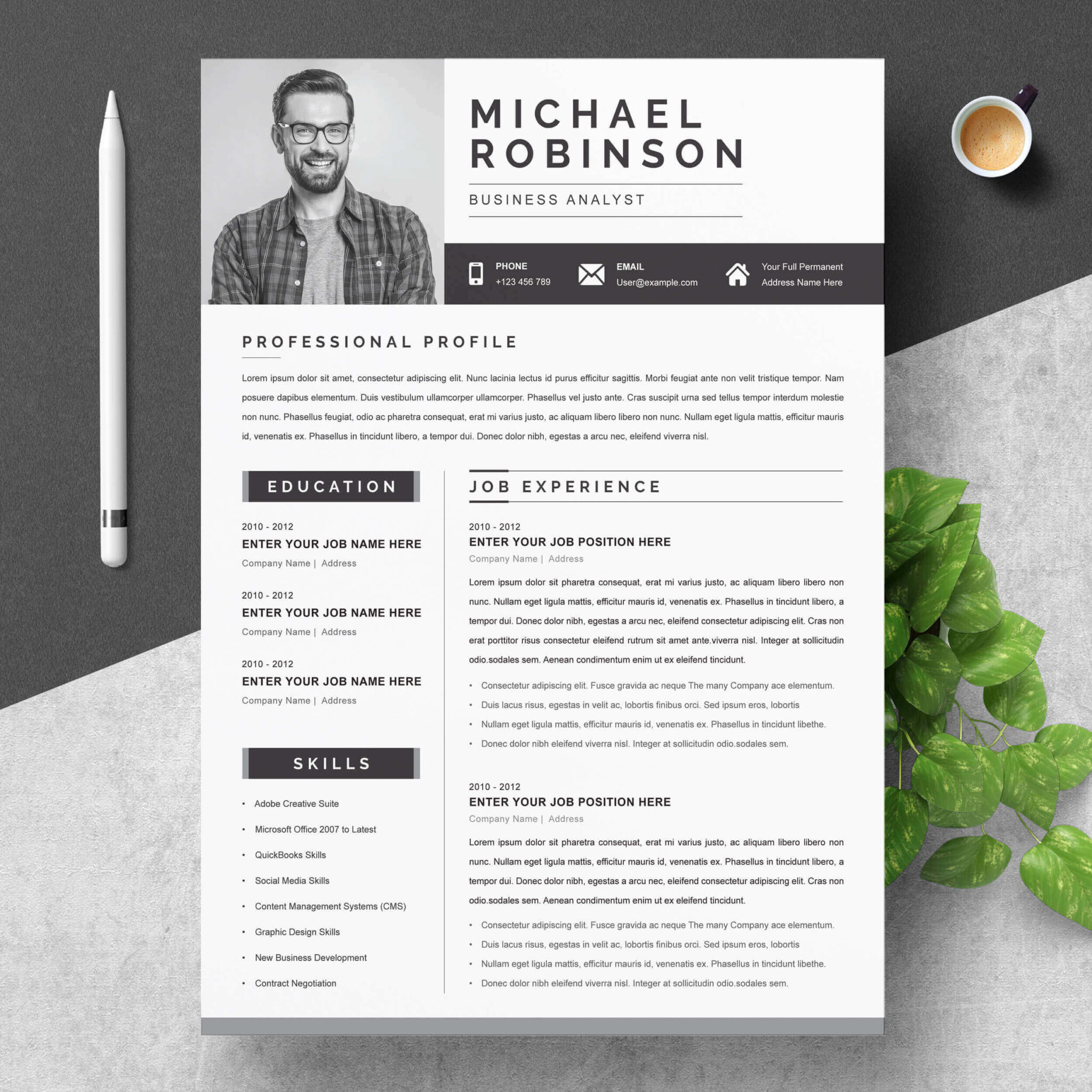 Professional Resume Template | Microsoft Word Resume Template ...