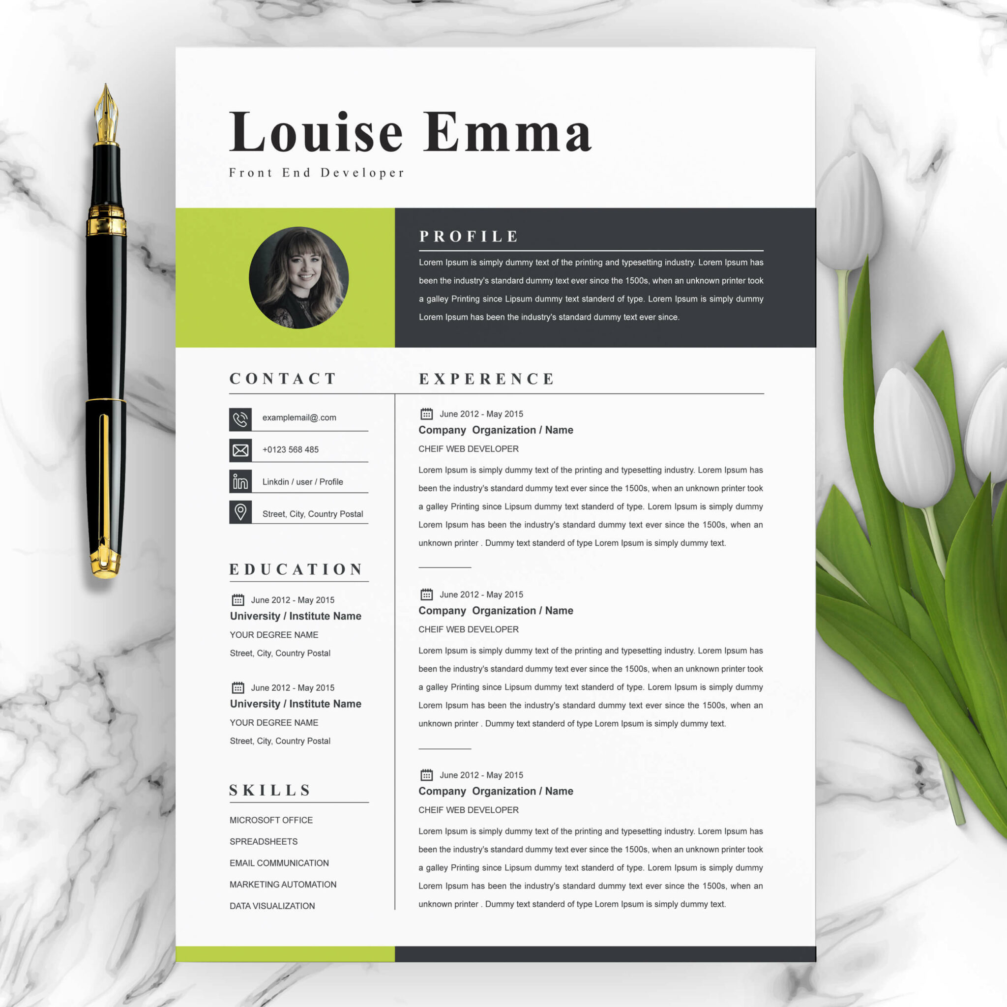 Front End Developer Resume Template | Modern CV Template Word ...