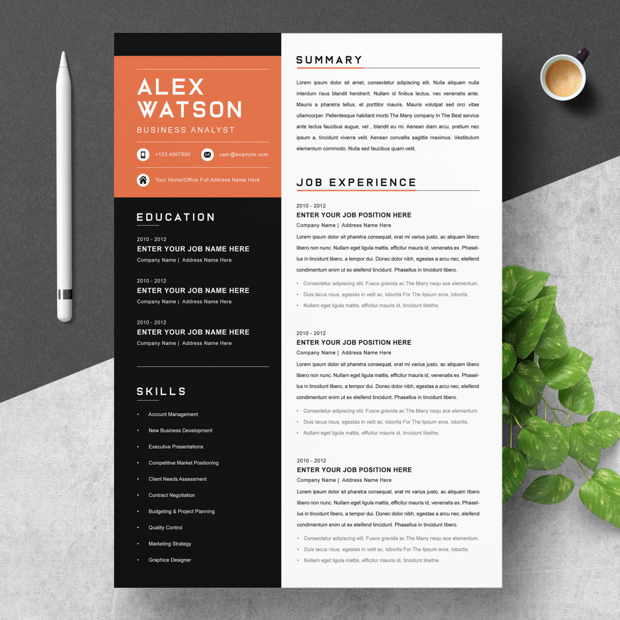Resume Template/CV Design Pattern