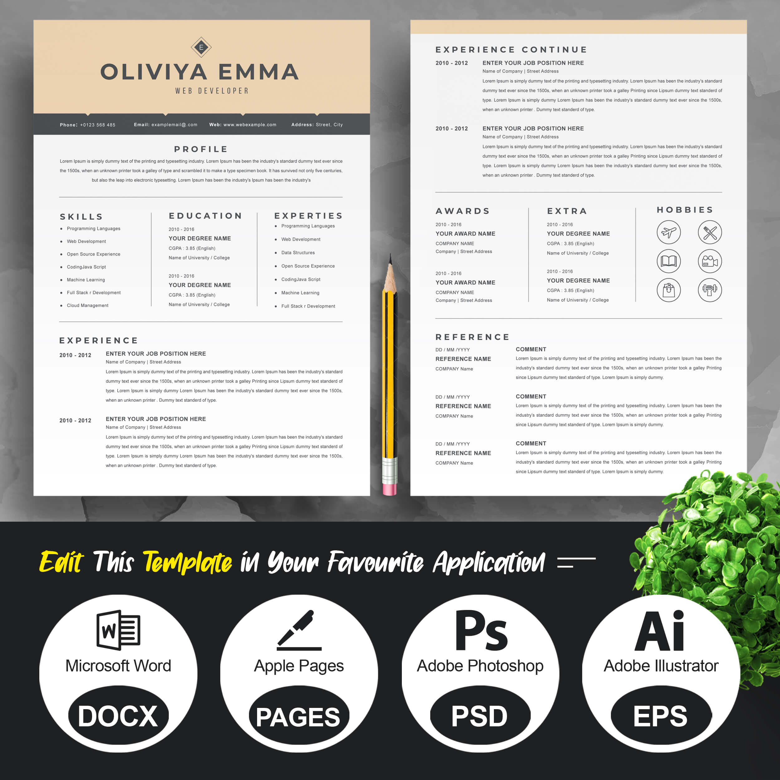 Web Developer Professional Resume Template | Classic Resume Template | PSD Format preview image.