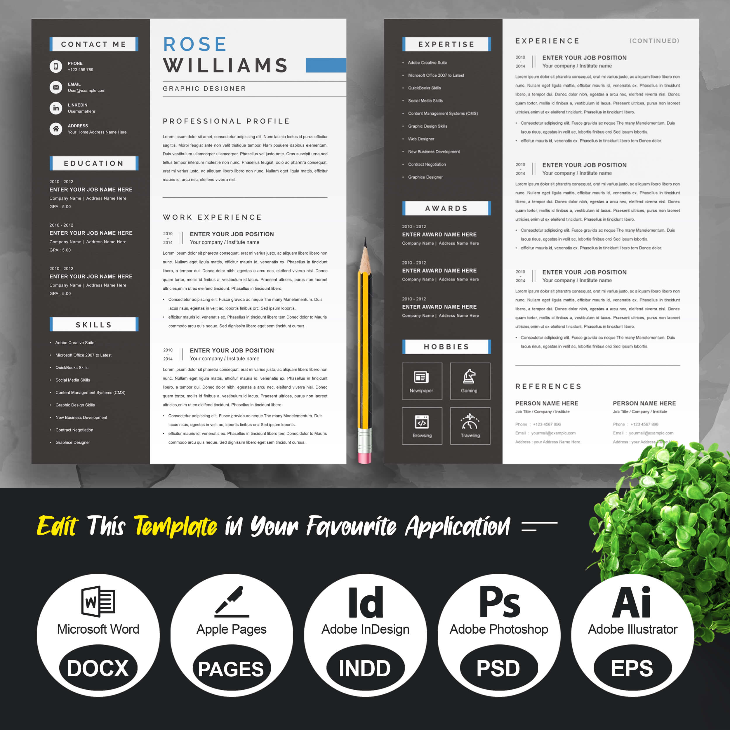 Graphic Design Resume Template | Professional CV Template preview image.