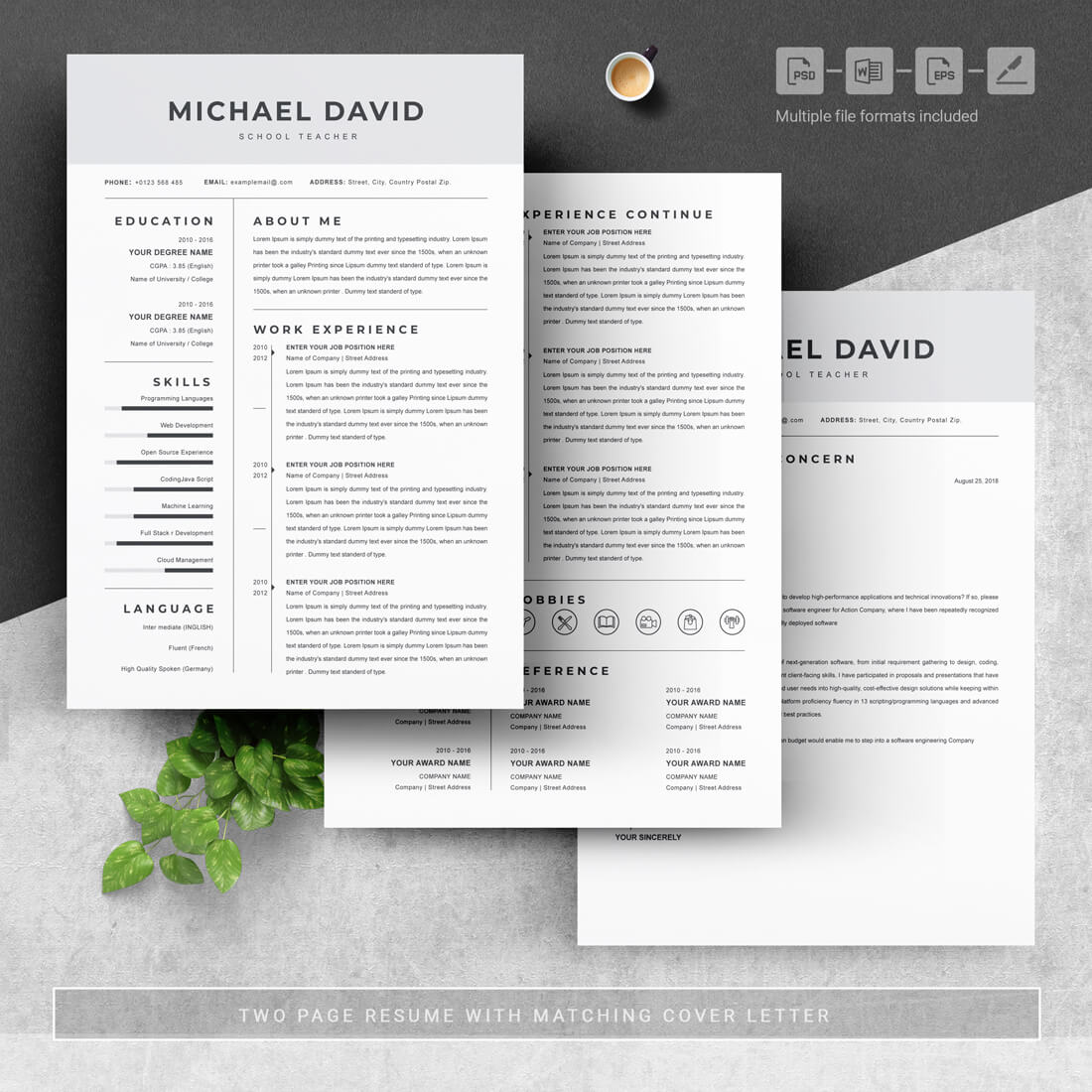 03 3 pages free resume design template 325