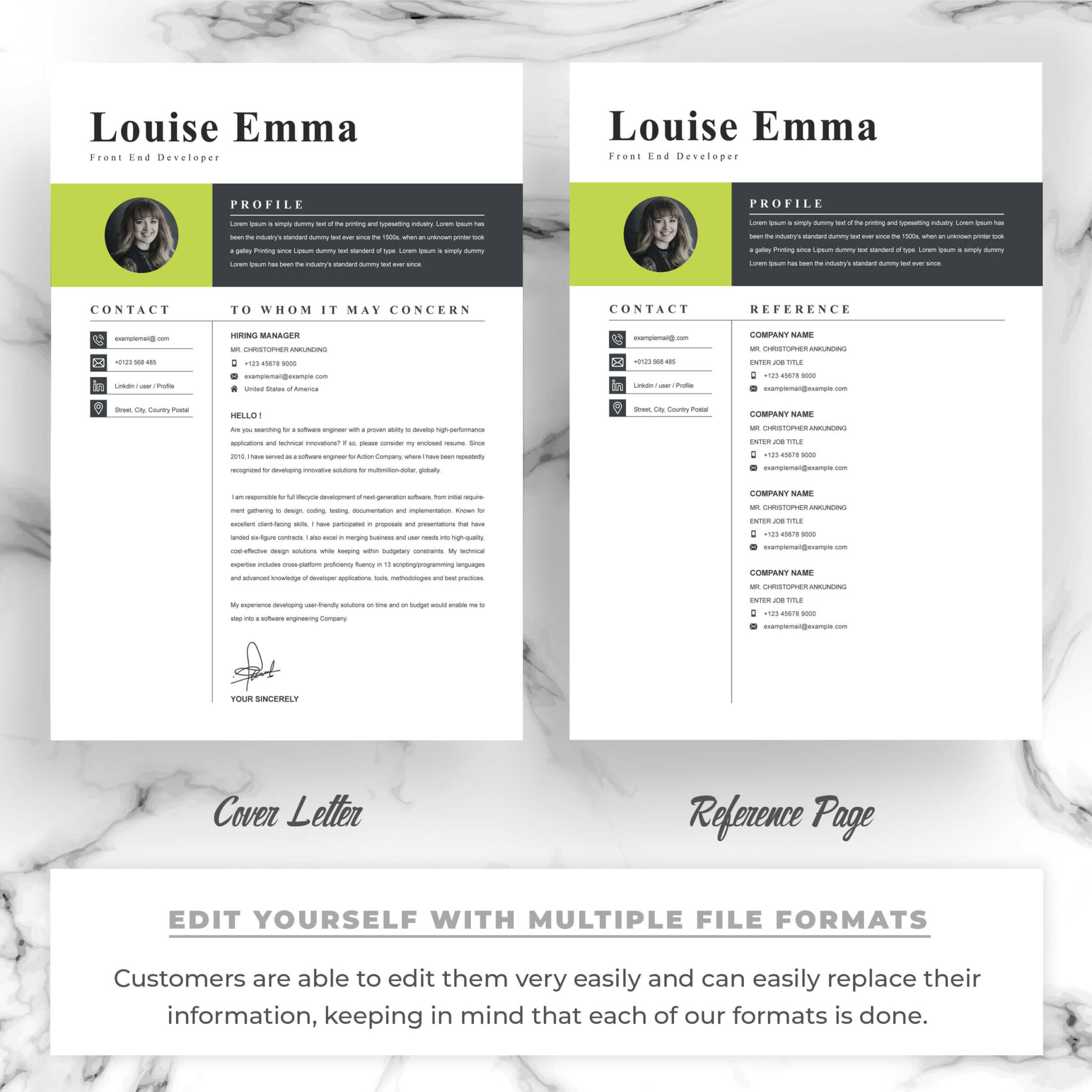 Front End Developer Resume Template | Modern CV Template Word ...