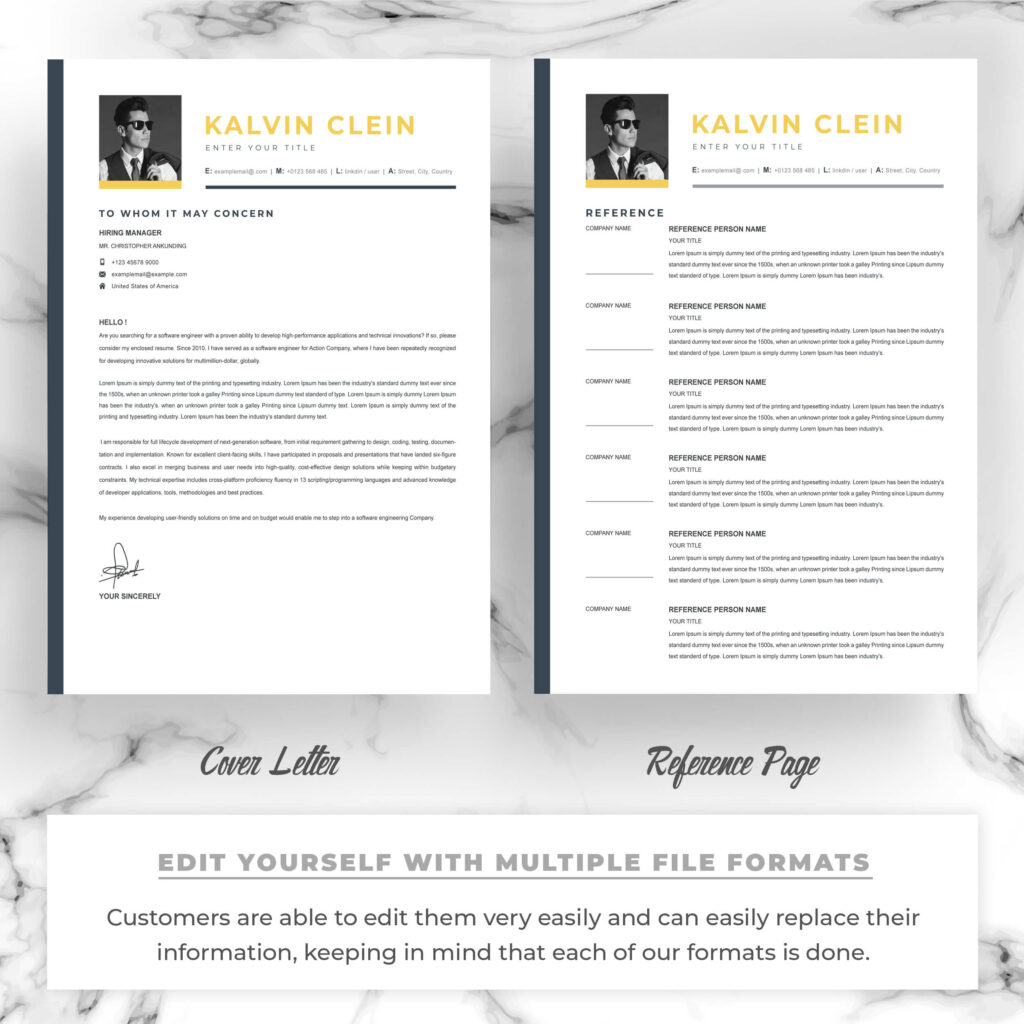 Creative Professional Resume Template | Professional Resume Template ...