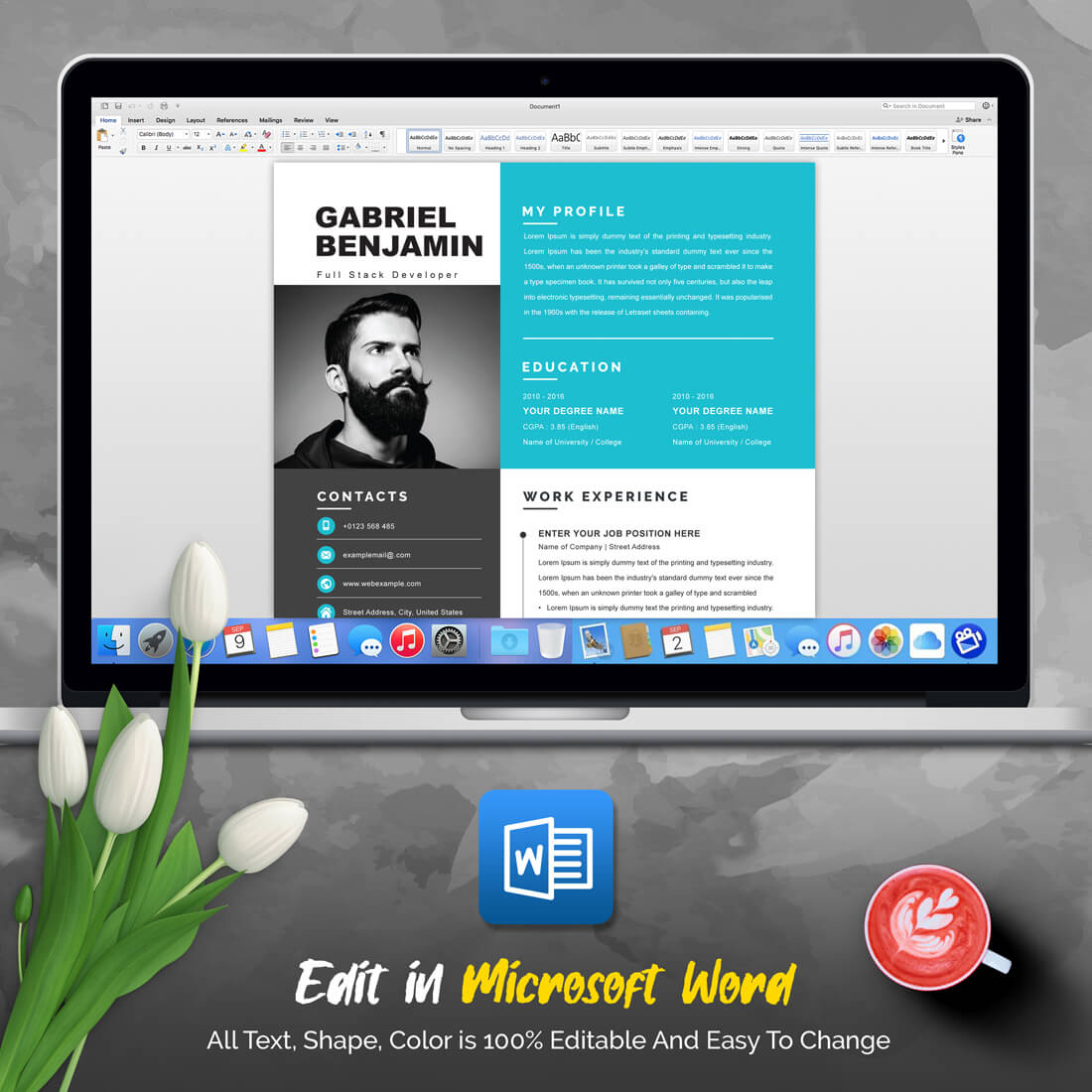 04 3 pages professional ms word aple pages eps photoshop psd resume cv design template design by resume inventor 300