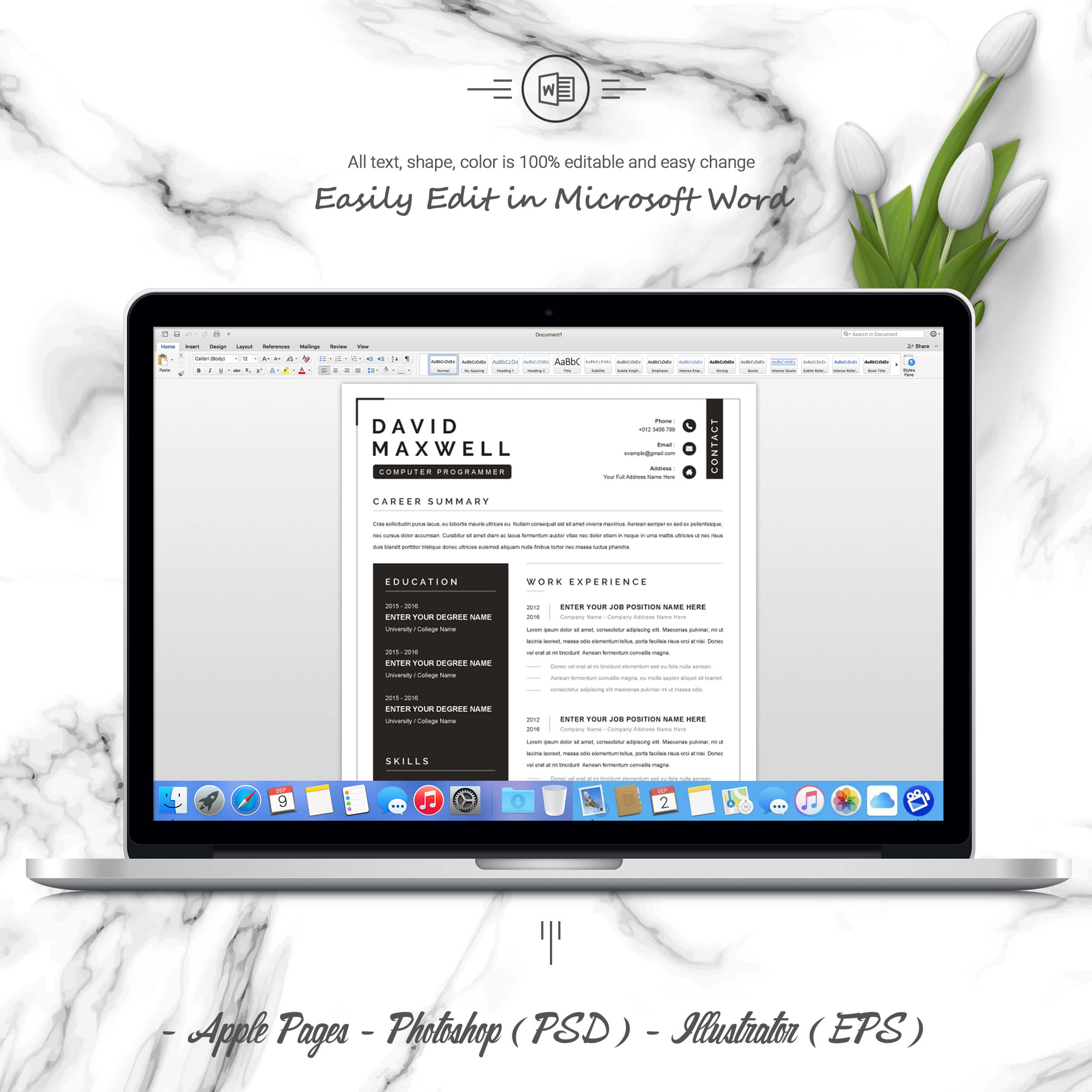 05 3 pages free resume ms word file format design template 1 298