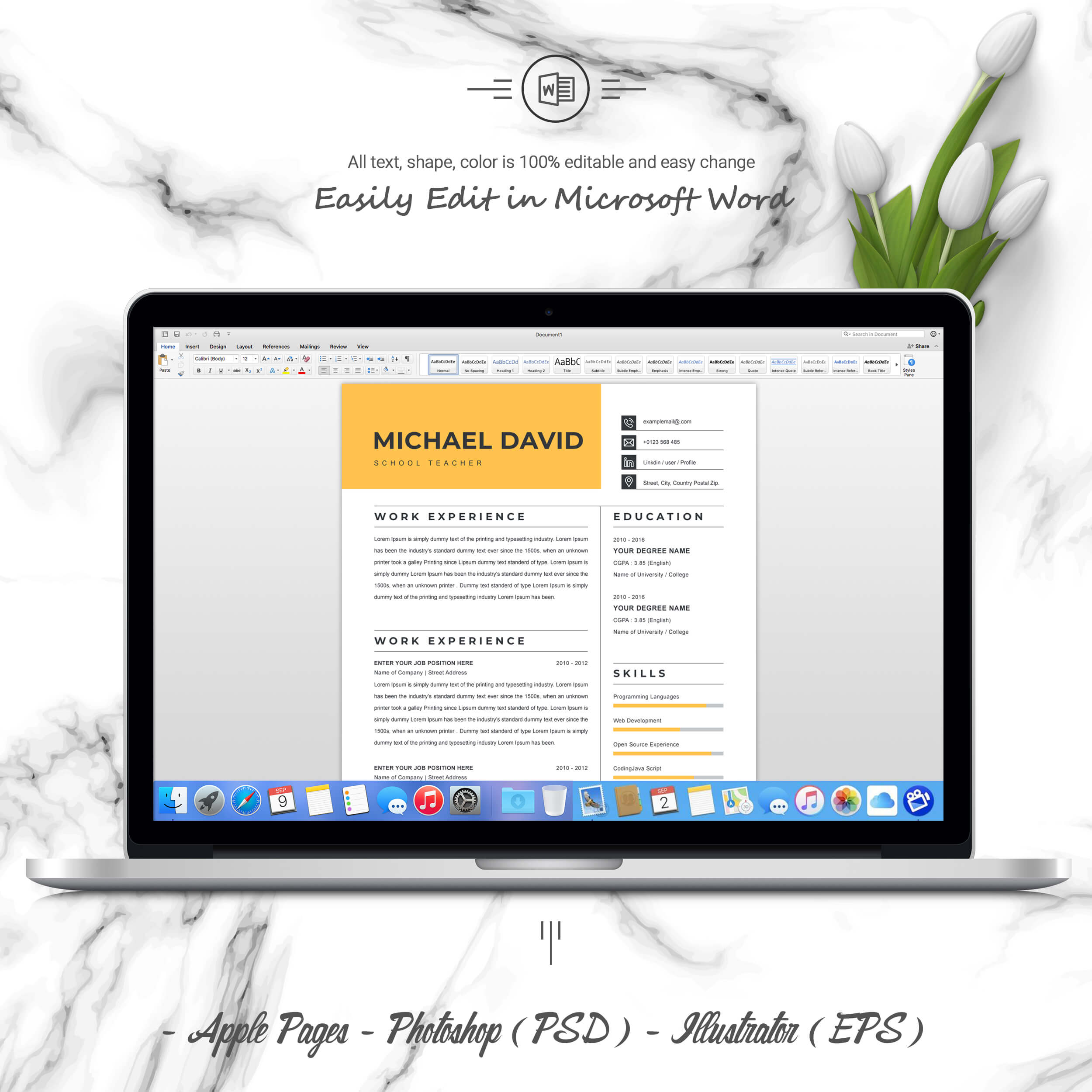 05 3 pages free resume ms word file format design template 6 4