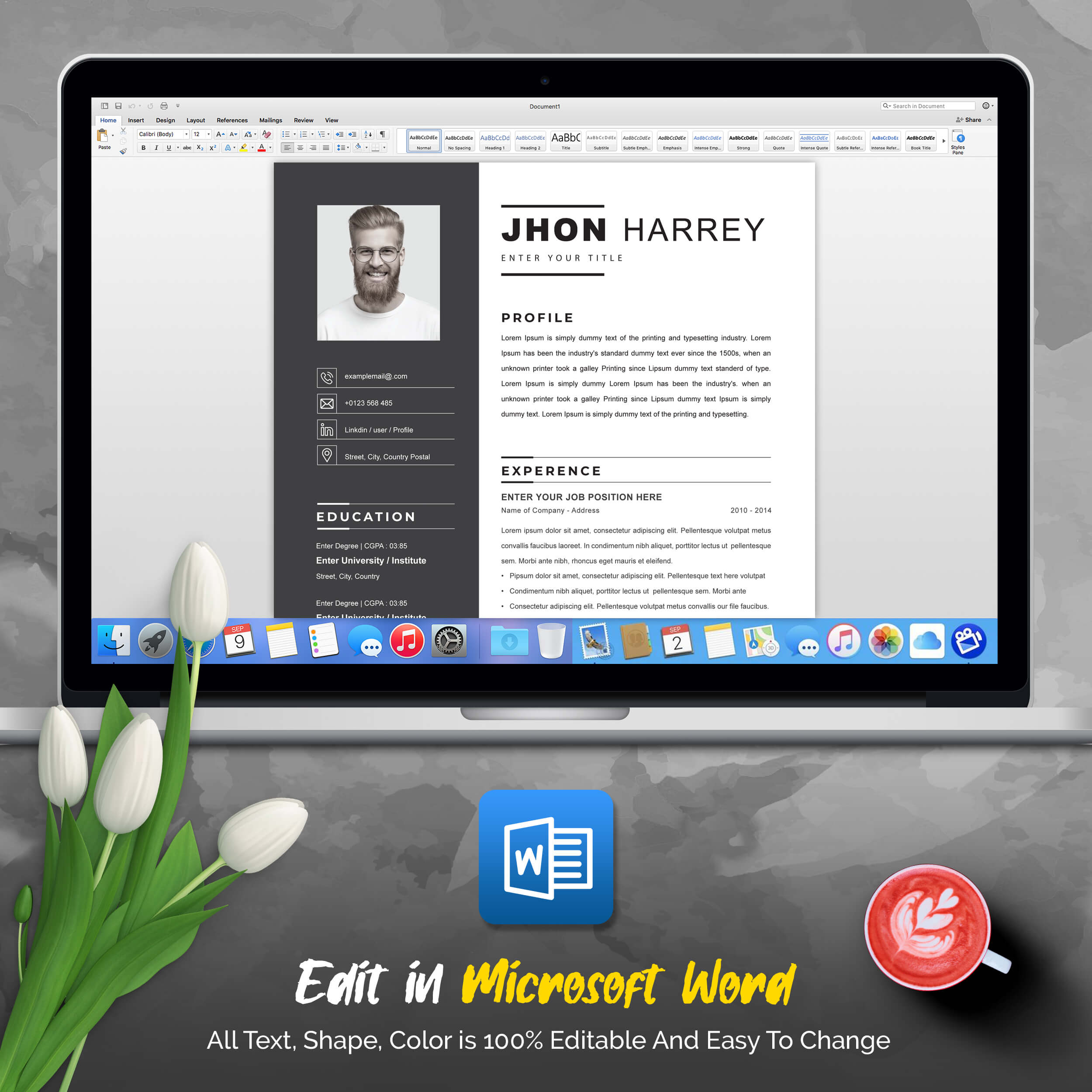 05 3 pages professional ms word aple pages eps photoshop psd resume cv design template design by resume inventor 565