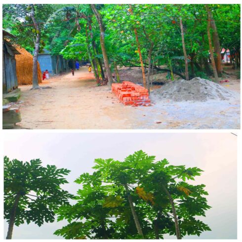 Ghar Tree village people & roads stock photos in Bangladesh cover image.