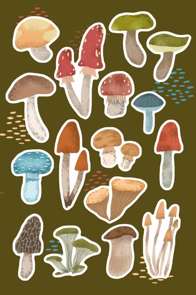 Forest mushroom sticker pack - MasterBundles