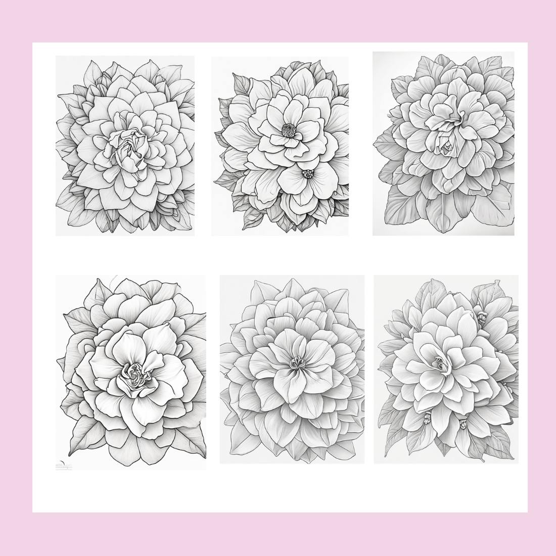 Beautiful and stunning , beautiful and sweet flower coloring page for adult preview image.