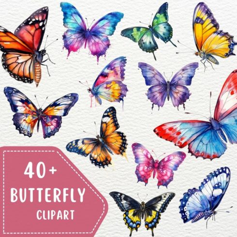 41 Watercolor Butterflies PNG, Butterfly Clipart, Transparent, Digital Paper Craft, illustrations, watercolor clipart, Digital Paper Craft cover image.
