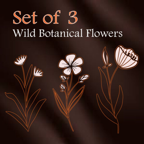 Bundle Of 3 Vintage Wild-Botanical Flowers cover image.