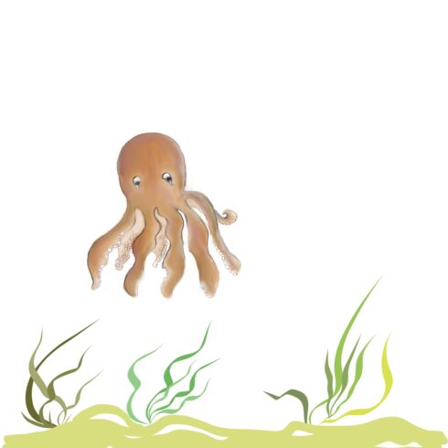Octopus cover image.