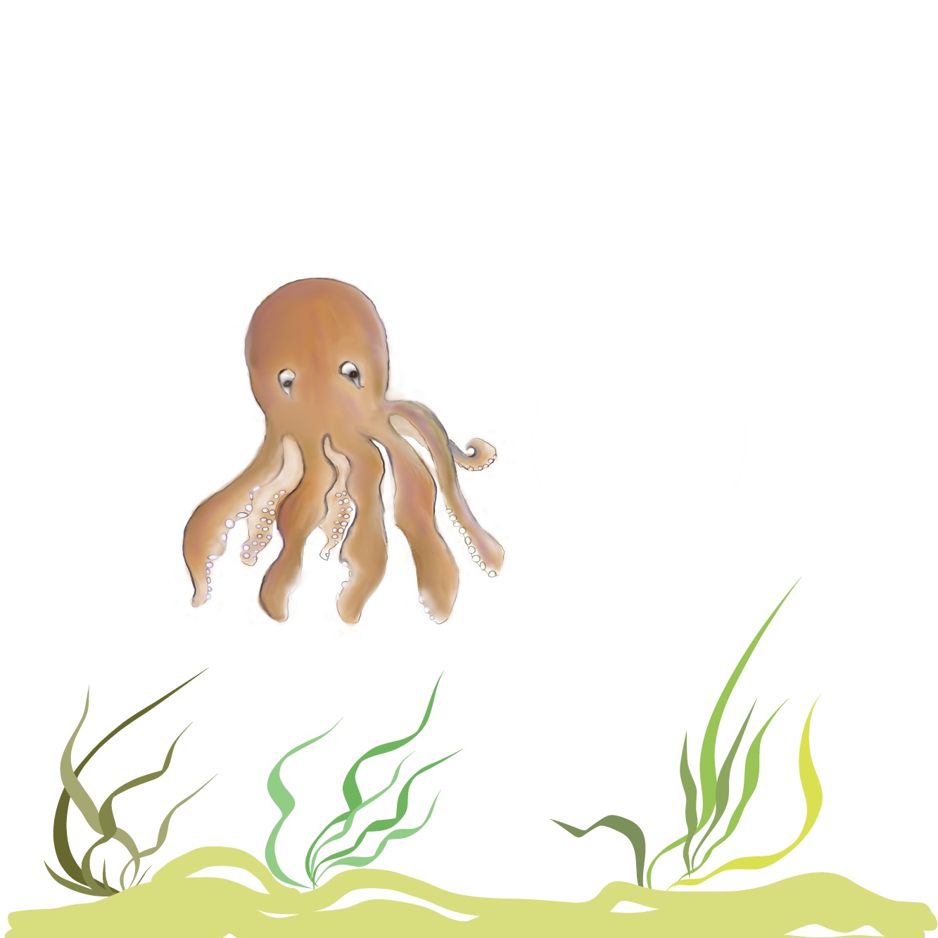 Octopus preview image.
