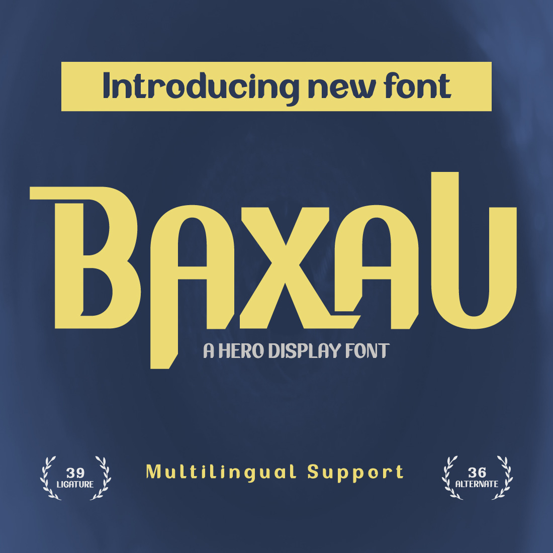 BAXAU | Display Hero Font preview image.