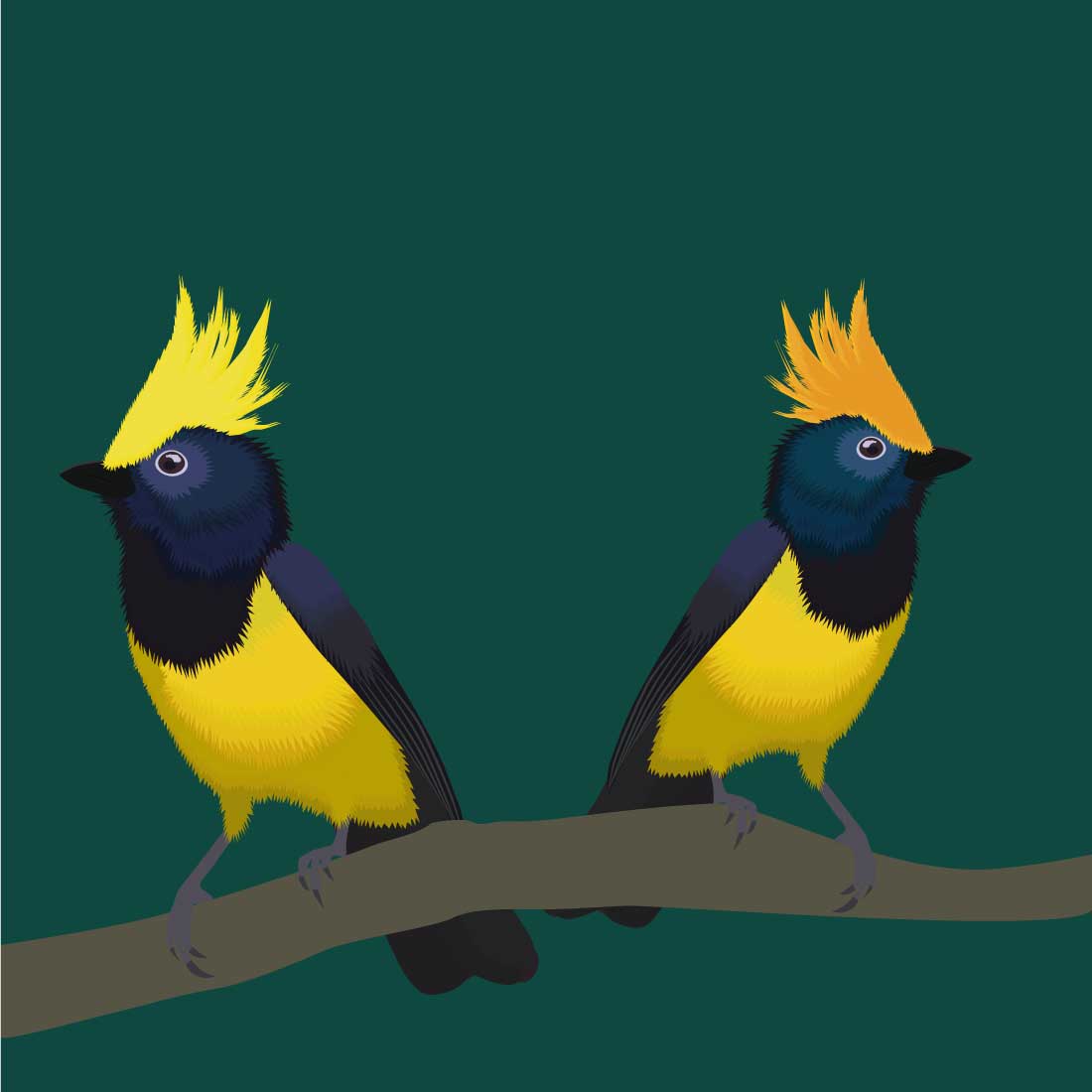 colorful bird preview image.