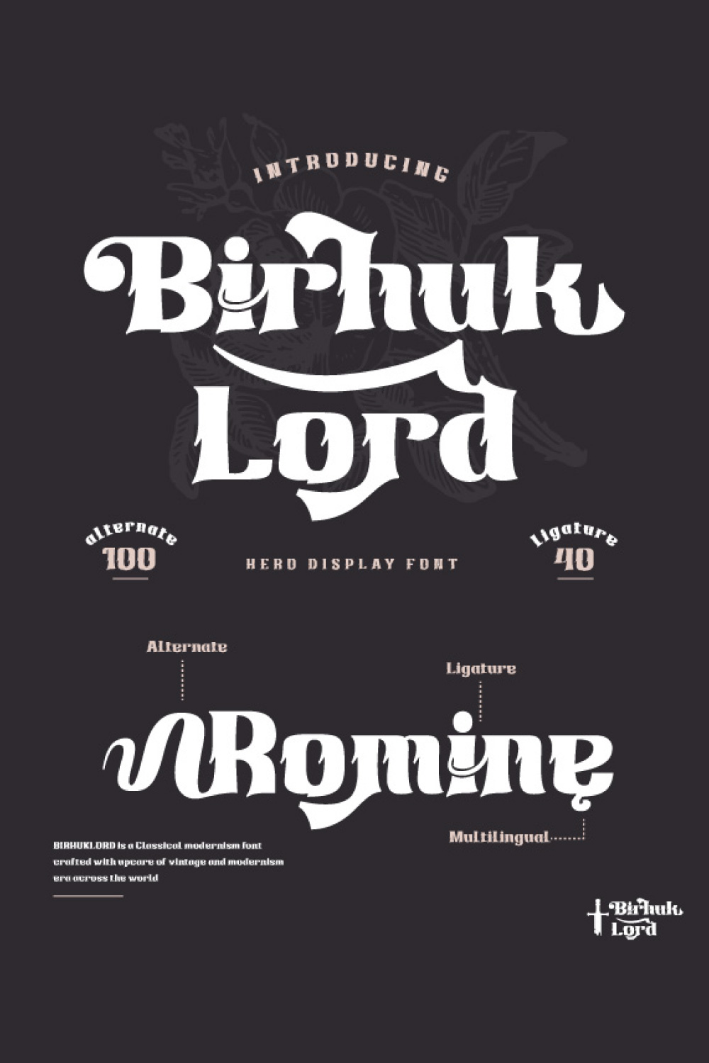 Birhuk Lord | Display Hero Font pinterest preview image.