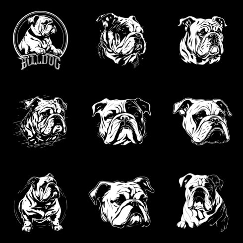 Dog face T-shirt design-vector dog bundle cover image.