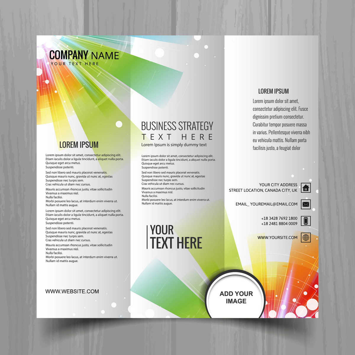 full color brochure triptych 128