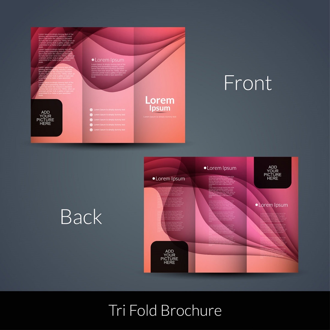 Wavy pink tri fold preview image.