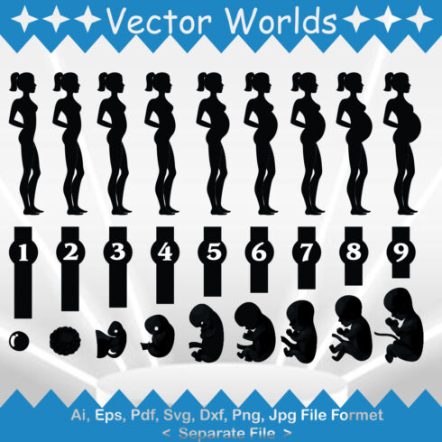 Pregnancy Woman Stages SVG Vector Design cover image.