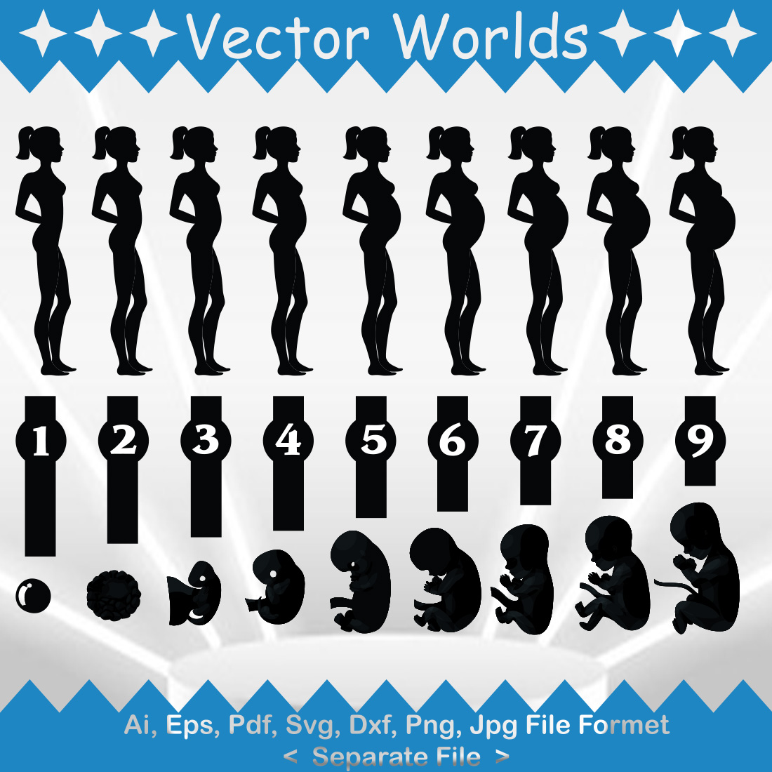 Pregnancy Woman Stages SVG Vector Design. - MasterBundles