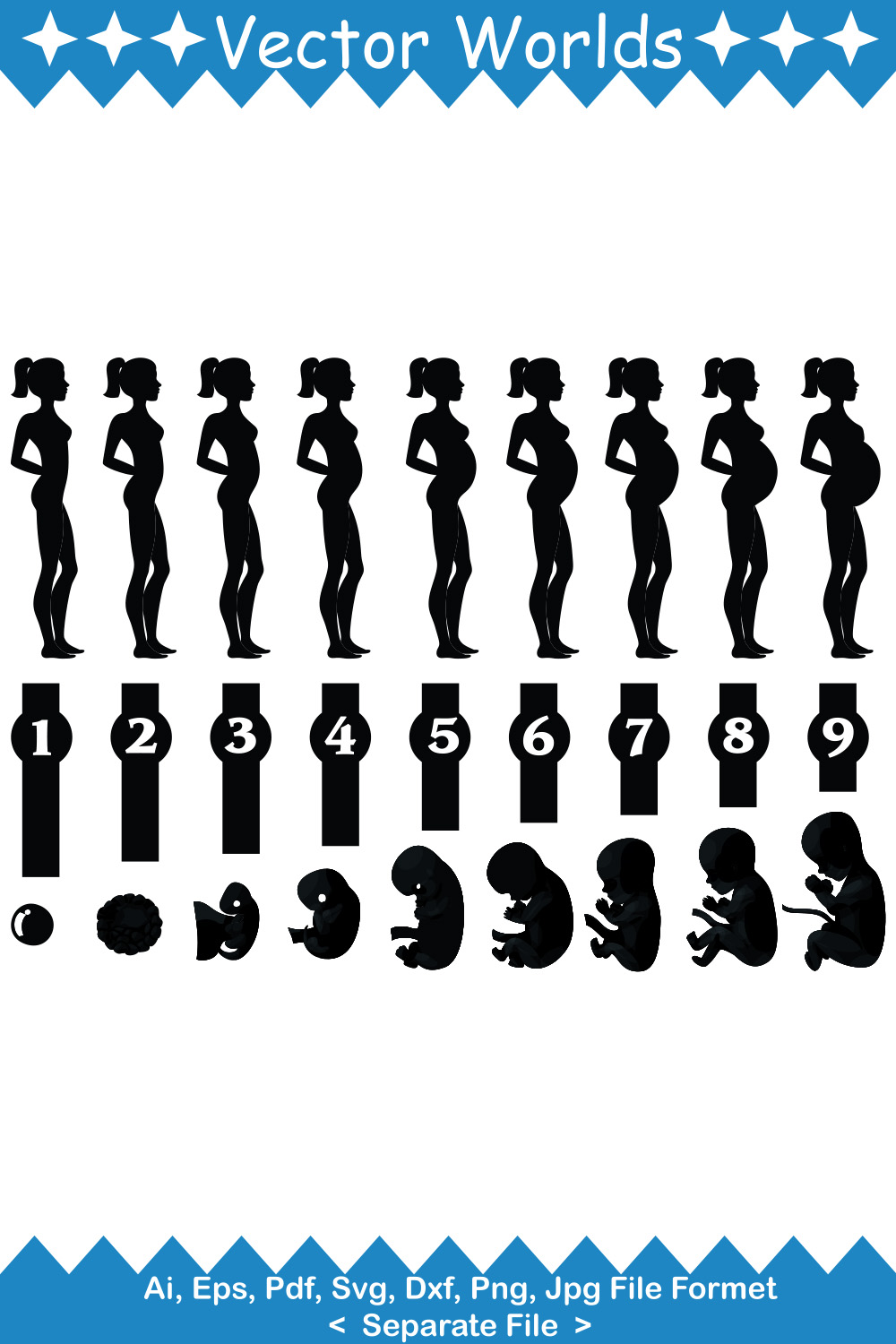 Pregnancy Woman Stages SVG Vector Design pinterest preview image.