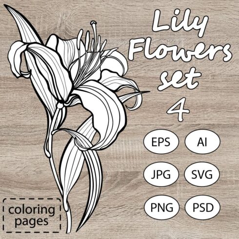 Lily Flowers Set cover image.