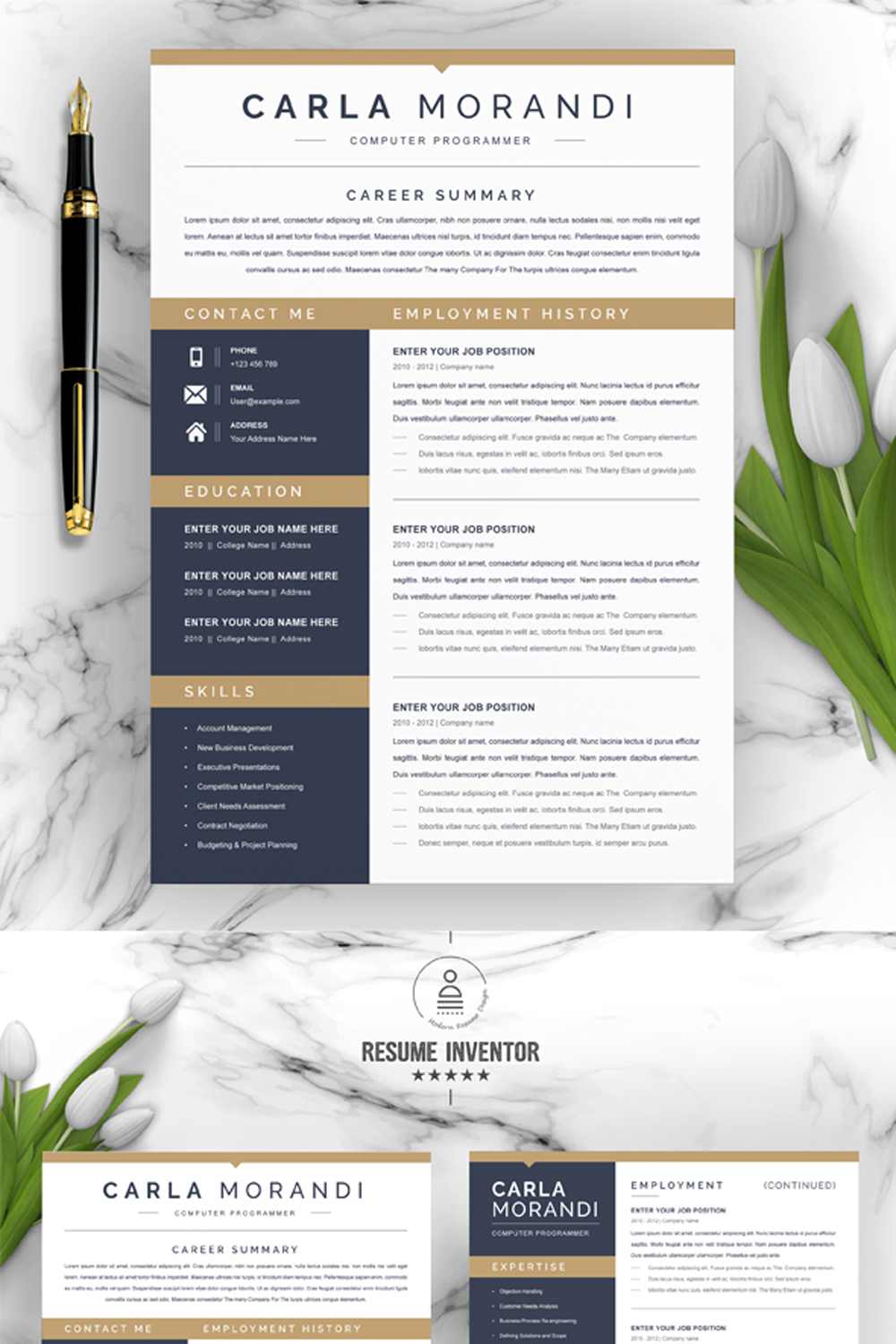 Computer Programmer Resume Template | Resume Template Word Format pinterest preview image.