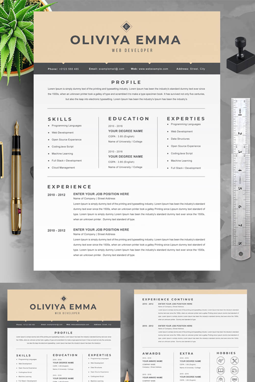 Web Developer Professional Resume Template | Classic Resume Template | PSD Format pinterest preview image.