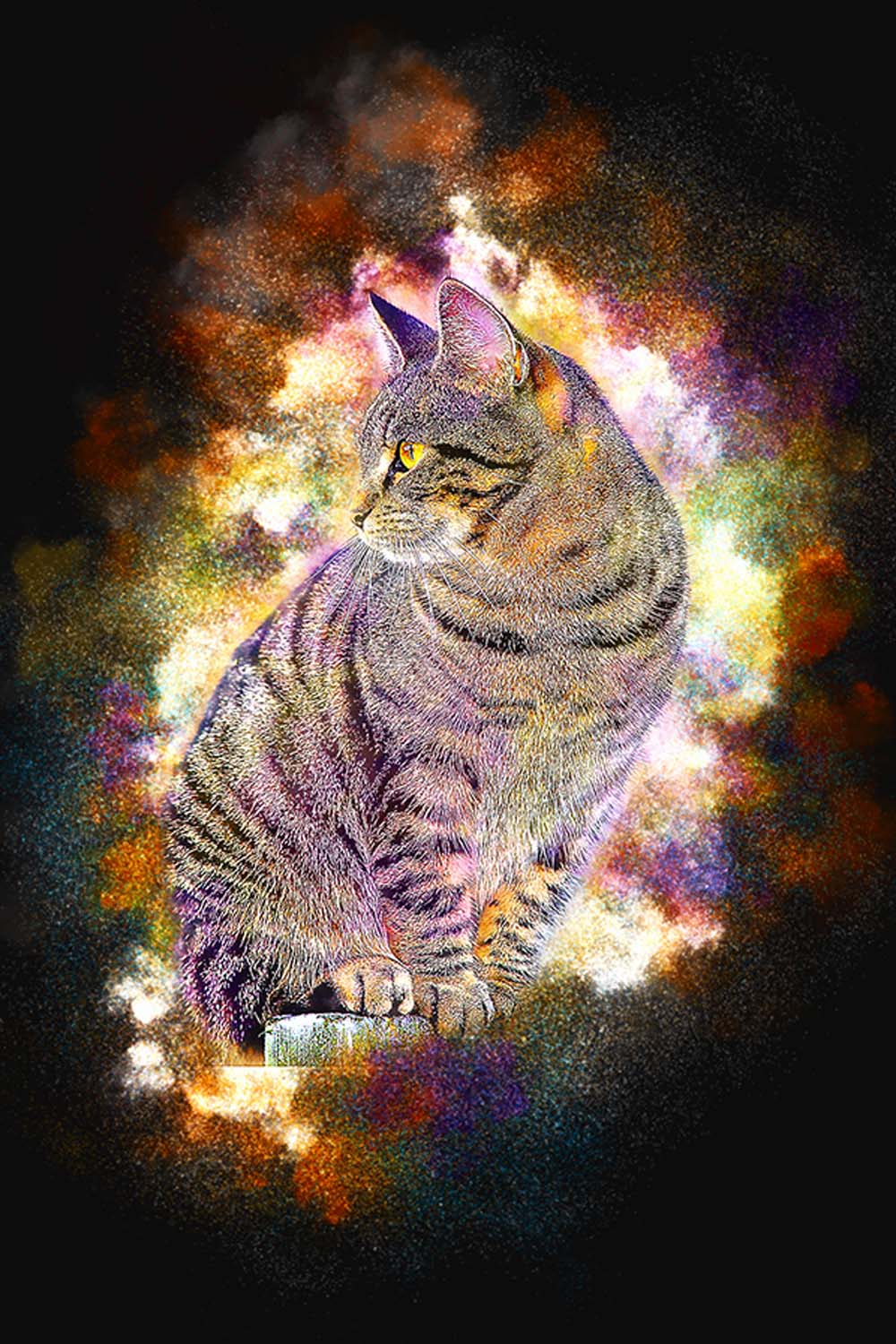 Pets Powder Drawing Photoshop Action pinterest preview image.