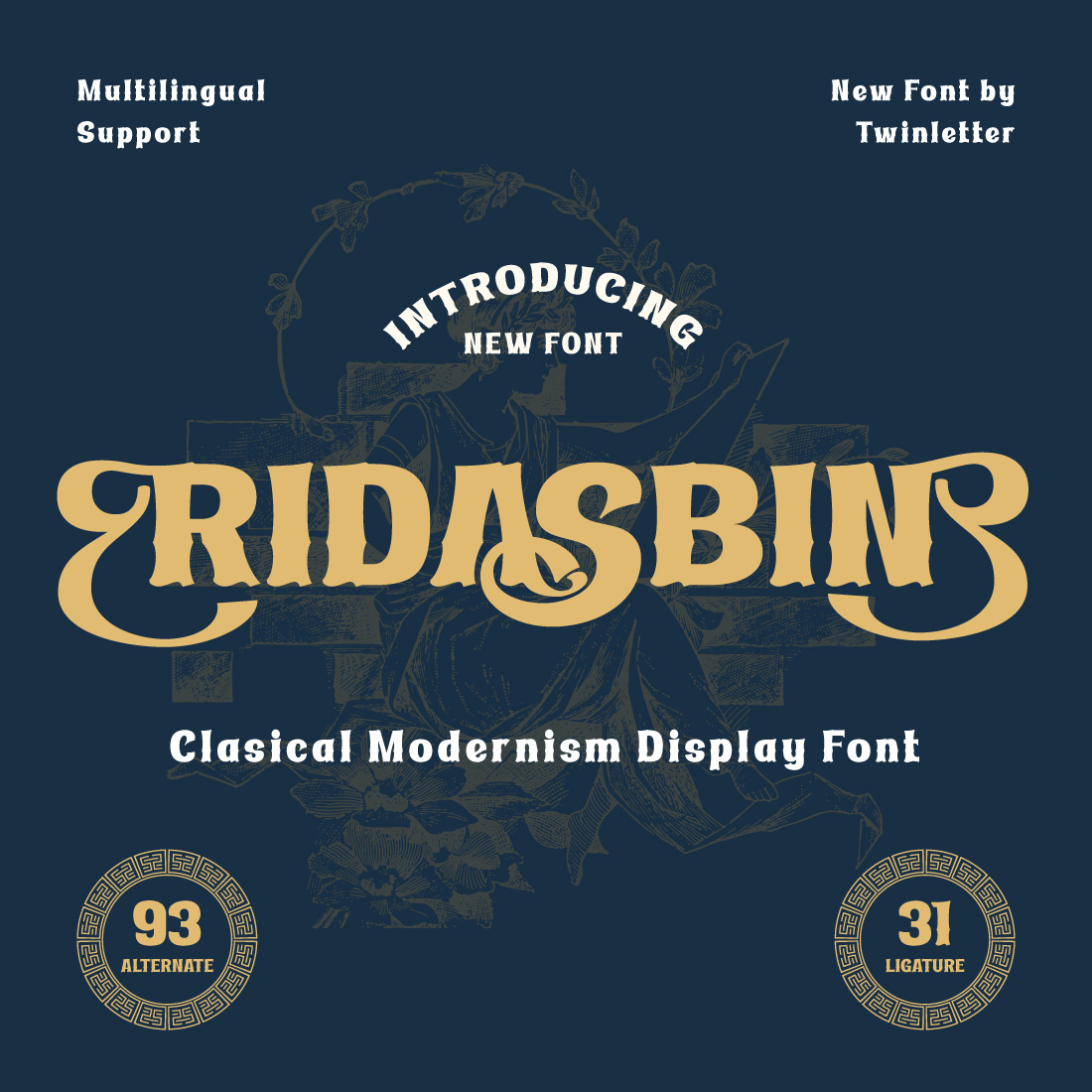 Ridasbin | Serif Classic Modernism preview image.